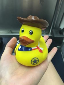 12200638_10203704480332779_1614213431_n